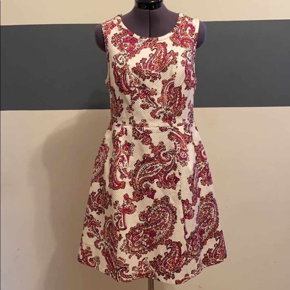 The Limited dress size 8